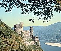 castle on the rhine