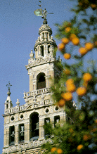 seville sevilla cathedral